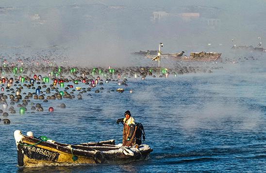 Шаньдун ?лкес? Жунчэн ?аласы Айлунь шы?ана?ында?ы ?те??з т?маны? ??былысы